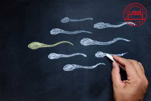 木垒哈萨克自治县大学生代孕,要做试管婴儿，现在正在打尿促针期间可以运动