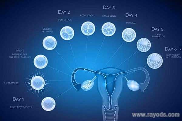 射洪县正规助孕生殖中心联系方式_试管辅助孵化的好处与坏处，辅助孵化能提