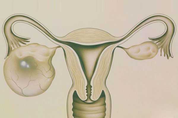 焦作哪里有借卵生子医院_做试管婴儿配胚胎选择男女