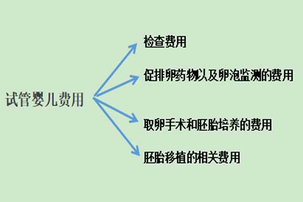 阿克陶县借卵怀孕的孩子性格_广东做试管婴儿哪家医院最专业，成功率最高