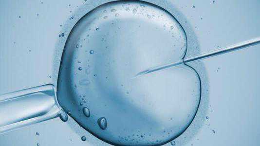香河县借卵的成功率有多少_香河县借卵生子流程_备孕期吃什么食物能助孕？多