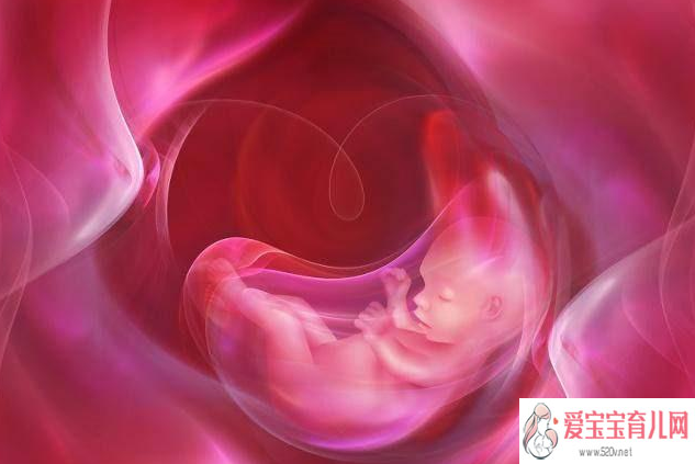 仪征市宝孕天使助孕中心_试管移植后多久可以验孕？试管移植能持续多少天？