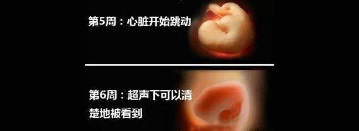 嵊泗县哪个试管助孕机构好_试管婴儿胚胎移植后孕酮低，要不要用黄体酮保胎
