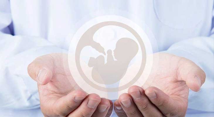 吴堡县助孕公司招聘_试管婴儿提高胚胎着床率，胚胎移植方式要选对