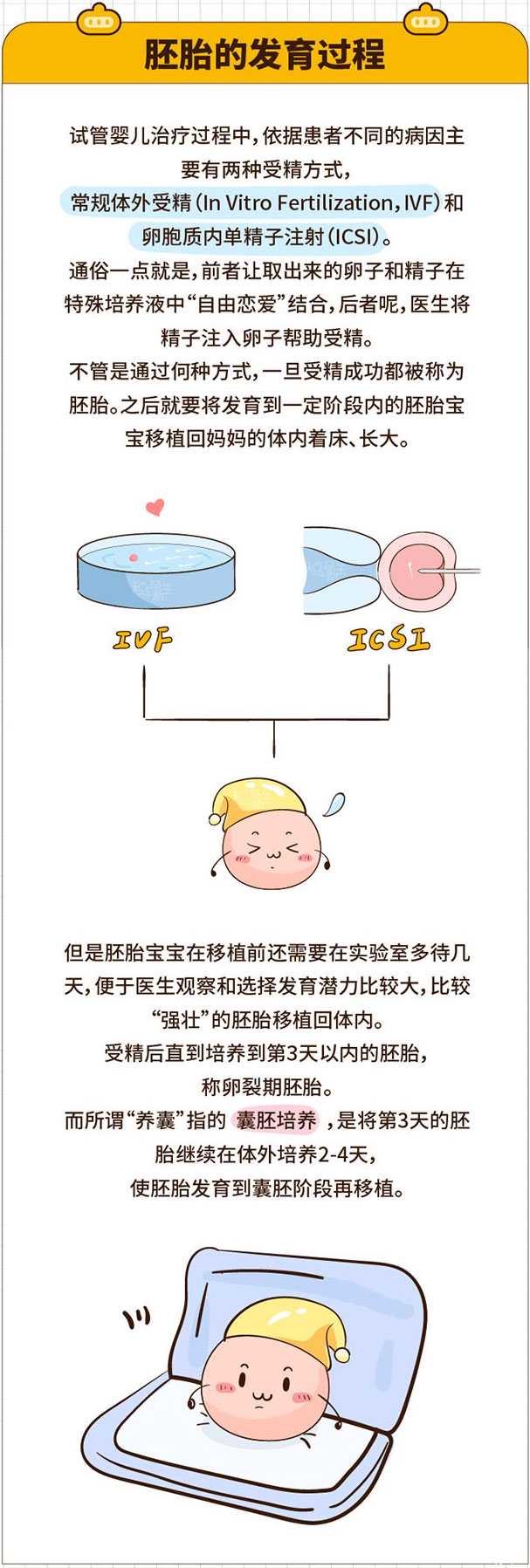 平川区日本有借卵生子吗_平川区借卵子做试管_试管婴儿培养囊胚的重要性