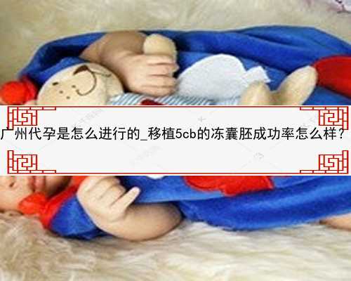 广州代孕是怎么进行的_移植5cb的冻囊胚成功率怎么样？