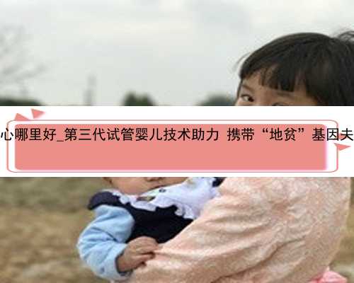 广州代孕产子中心哪里好_第三代试管婴儿技术助力 携带“地贫”基因夫妻孕育