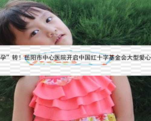 广州代孕的费用要多少_虎来“孕”转！岳阳市中心医院开启中国红十字基金会